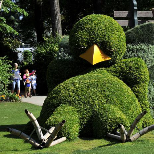 Le jardin des plantes